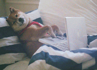 Gif de un perro escribiendo en una computadora.