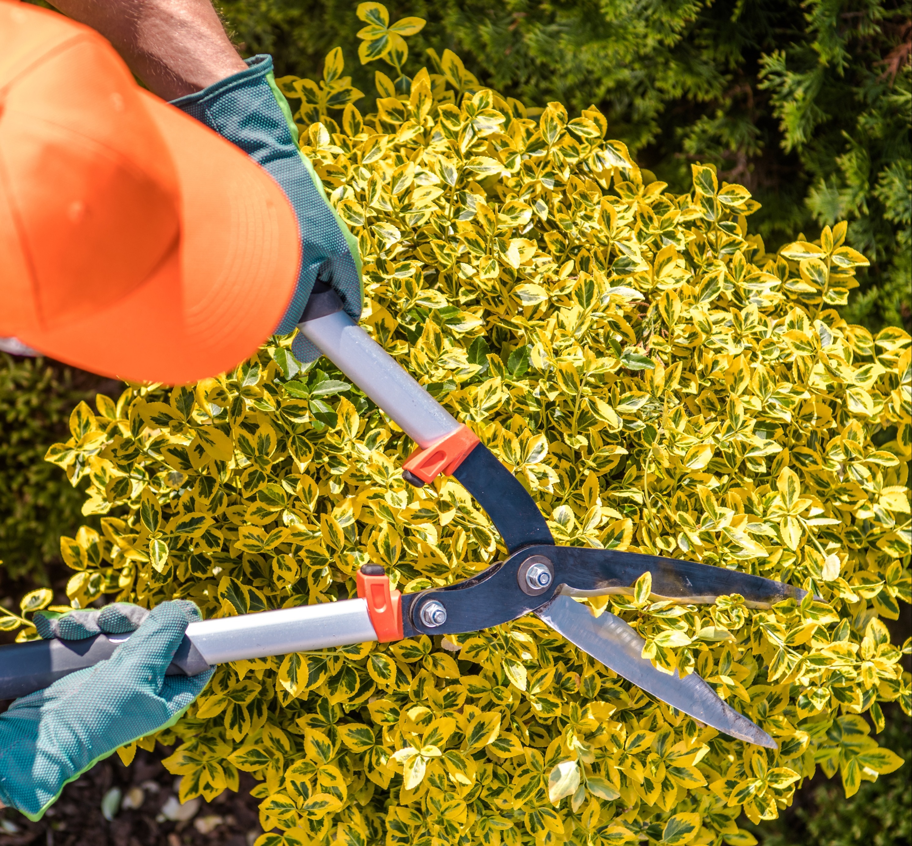 iStock-1153748840 V2