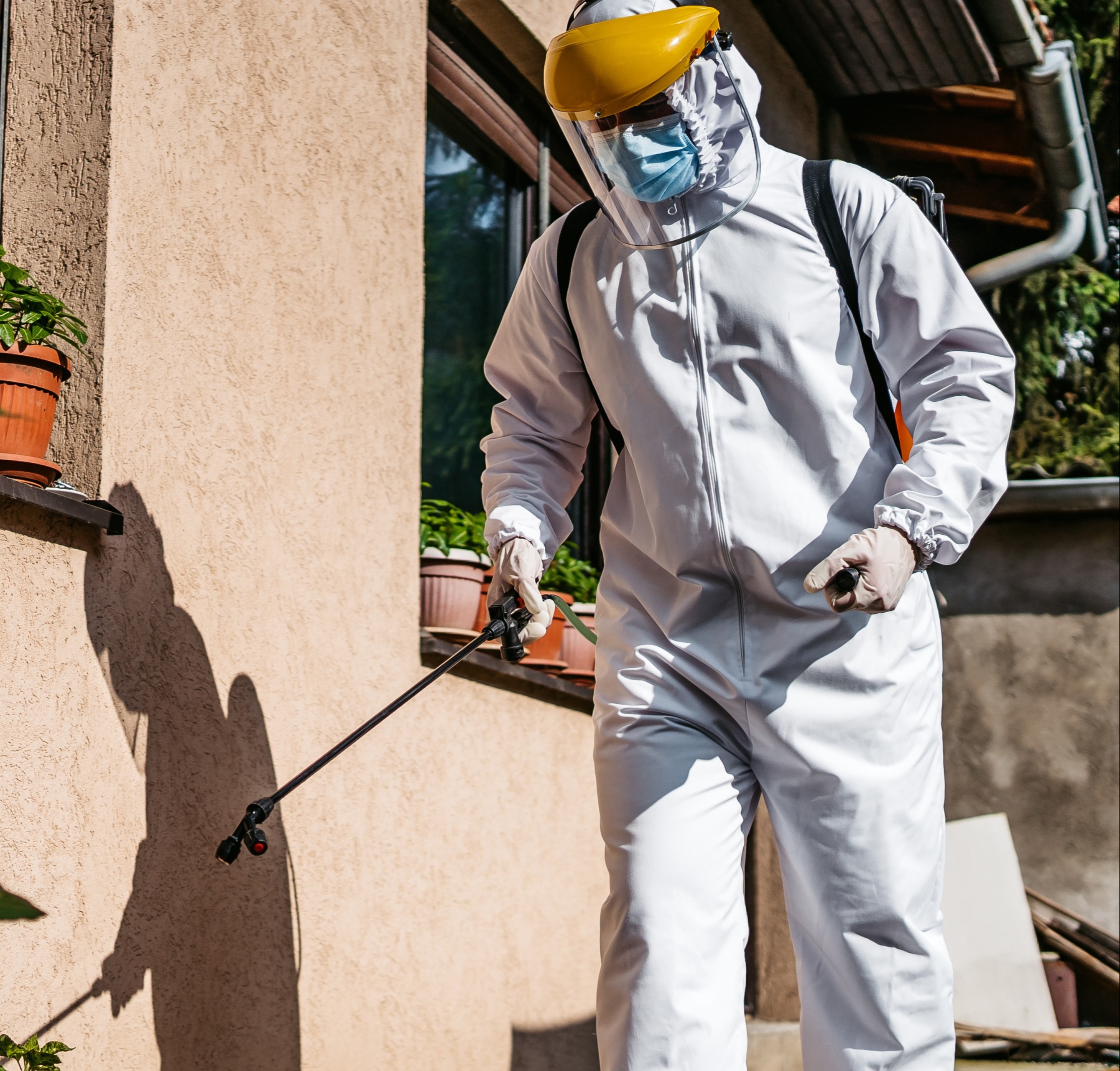 iStock-1282328221 v1-1-1