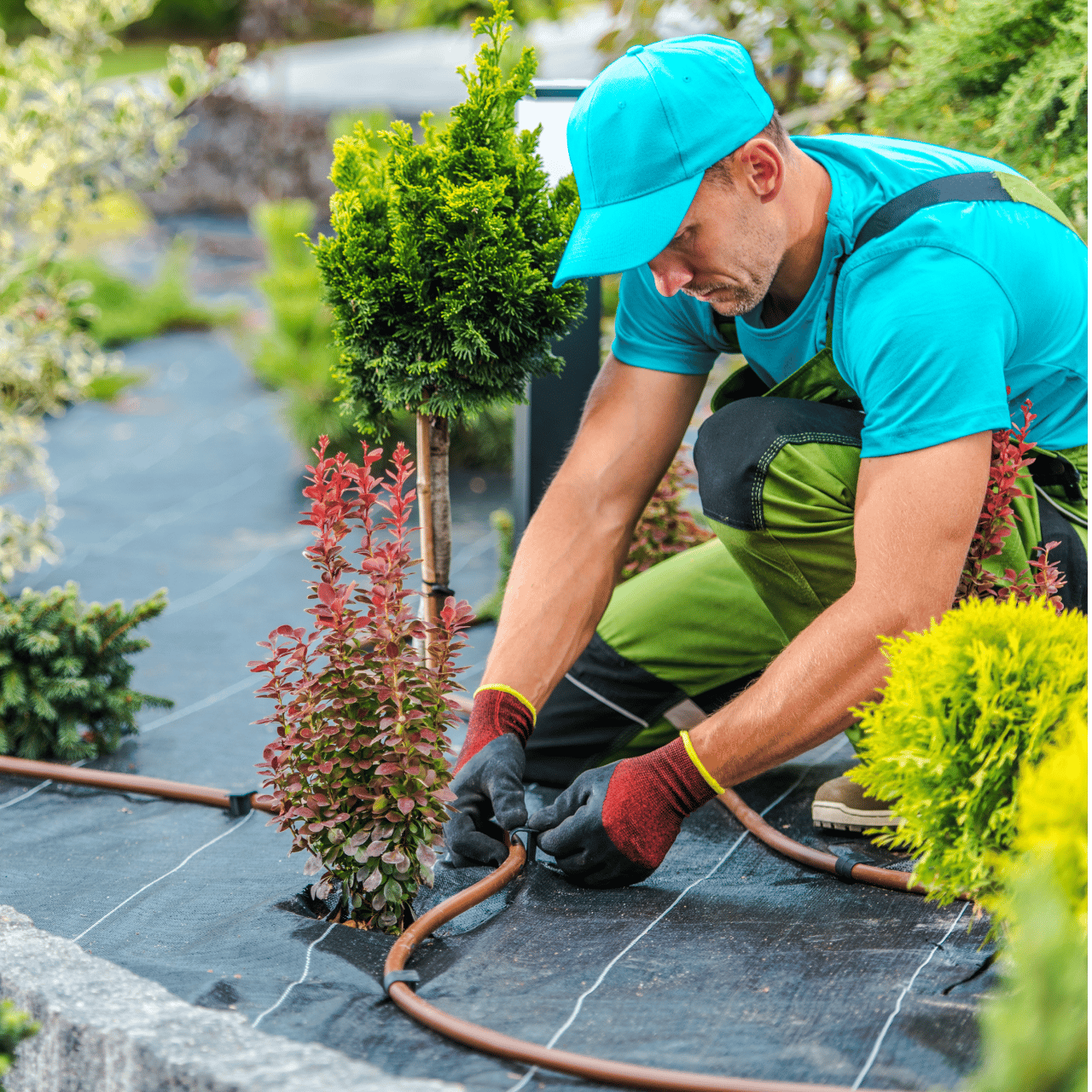 iStock-1173342162 1280x1280